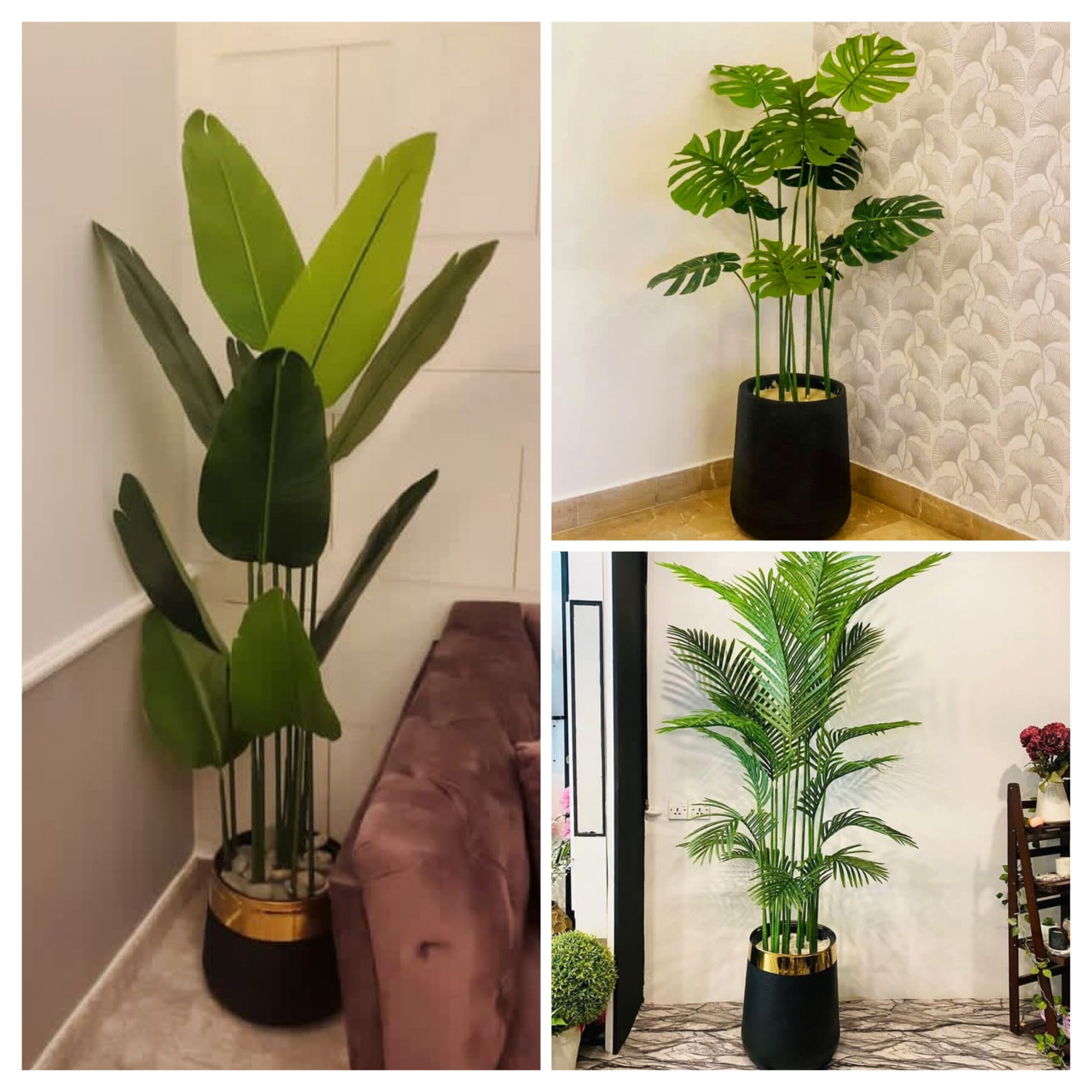 20251007 011453 collage